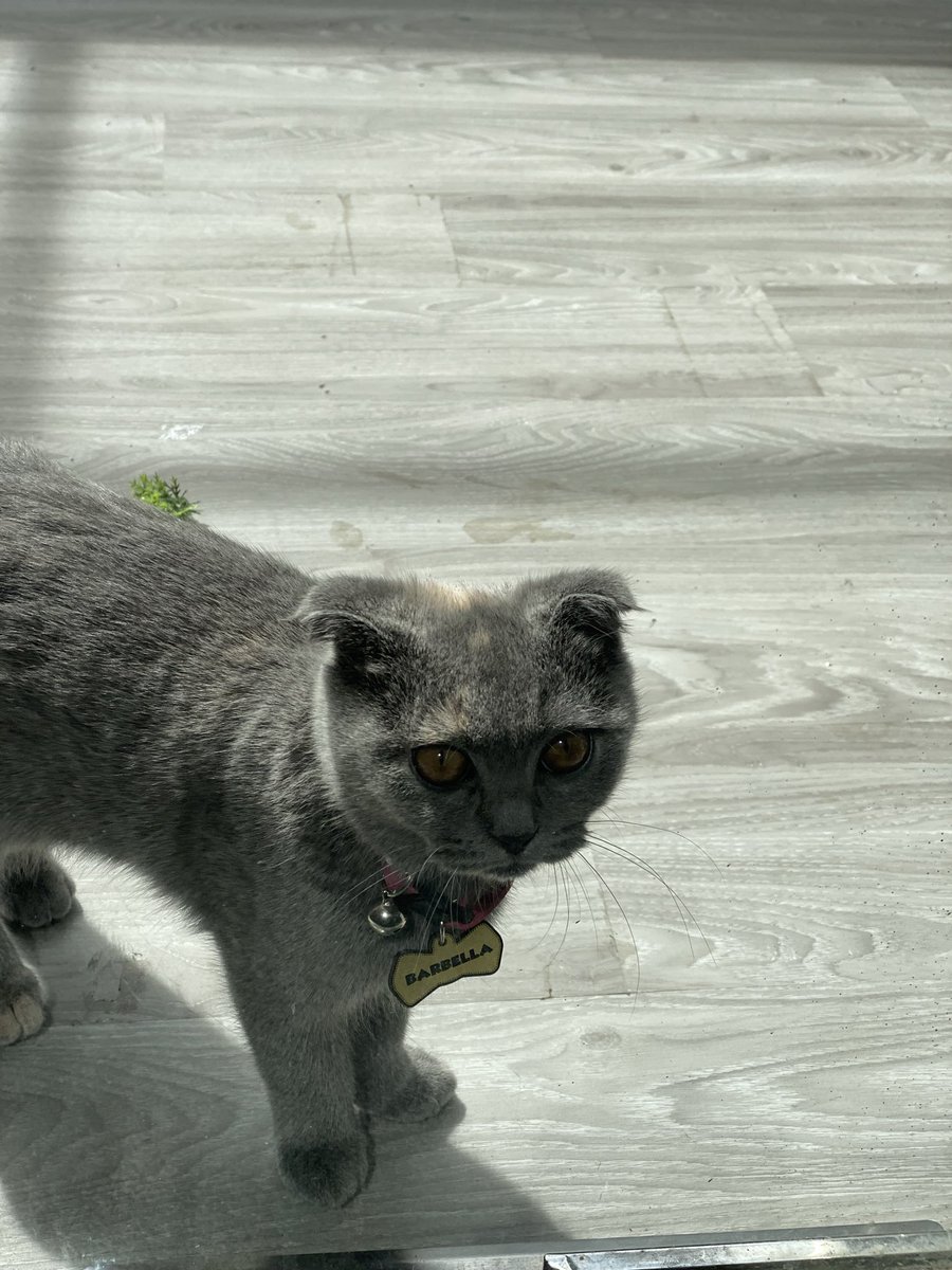 gym crush aku di ftl yang bikin semangat 😋😋