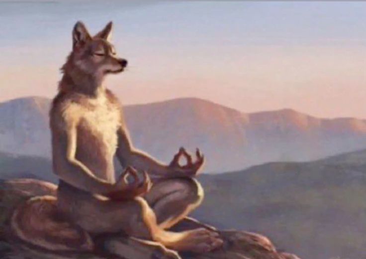 esta soy yo evitando entrar a la locura porque el maldito spotify decidió caerse.