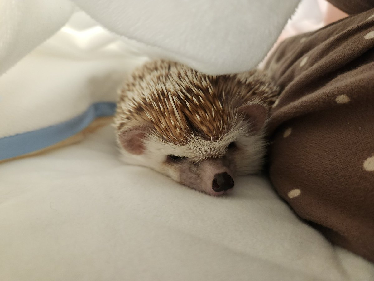 아 방금 귀엽게 자고 있었는데ㅠㅠ