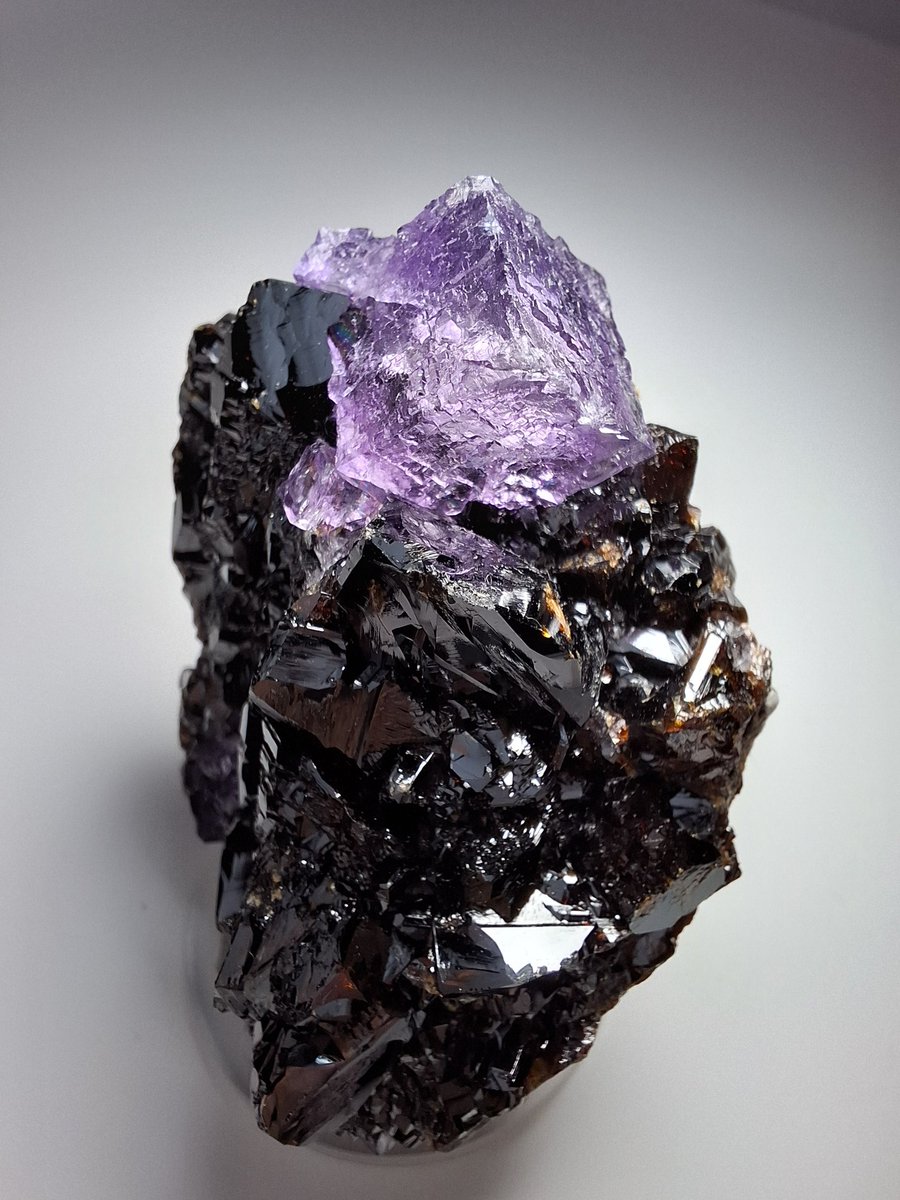 haru (@zumi91947372) / Posts / X