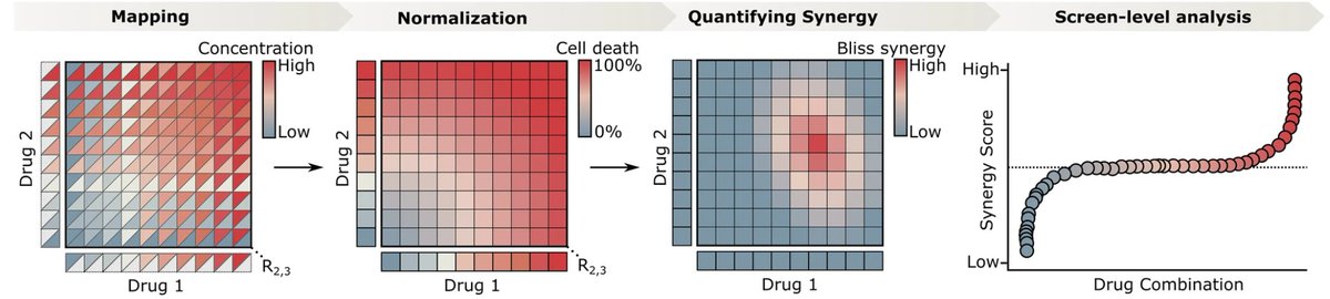 biowright's tweet photo. Dose density is important. Combocat's "dense mode" screens combinations in a 10×10 dose format - in triplicate. 

We tested > 800 combos this way in various cell models like cancer, 'normal', and bacteria. https://t.co/515YBaWpVi