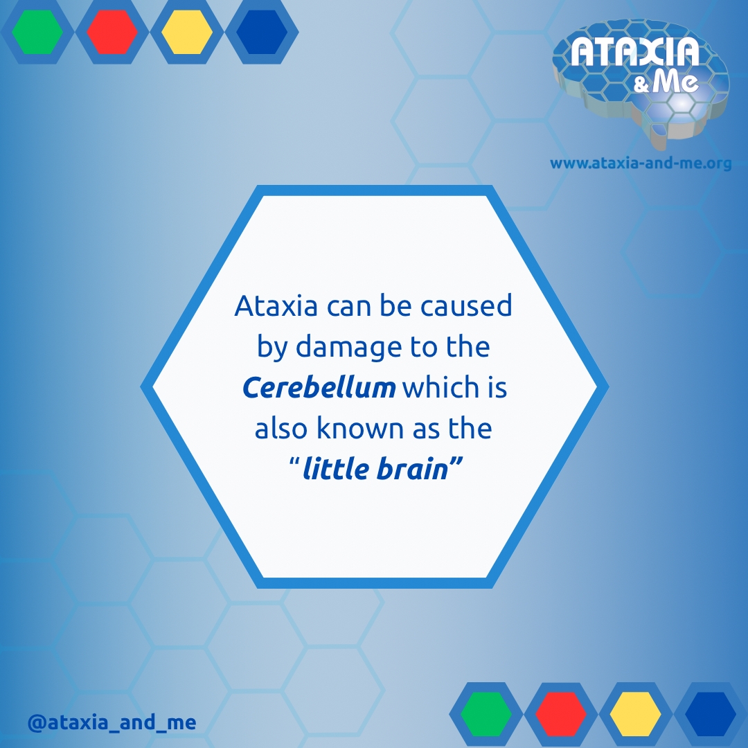 Ataxia_aware's tweet photo. ICYMI
Its day 15 of #Ataxia_Advent.. swipe for an #Ataxia fact! 💙🎁
#Ataxia_Advent #kNOwATAXIA #raredisease

support us at 
https://t.co/aHibJnKGYn https://t.co/HLpoPZhxZY