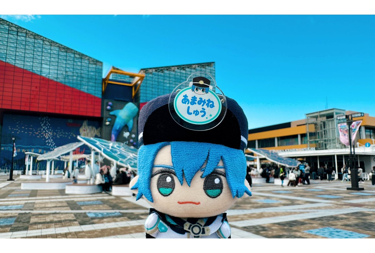 アマミネと海遊館🐬

初めて行ったけど陸地からだんだん海に潜っていく見せ方で面白かった〜〜〜！