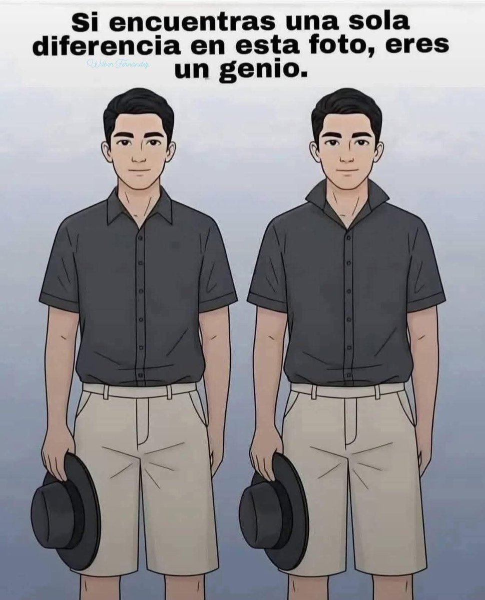 Suricato 💎 tweet media