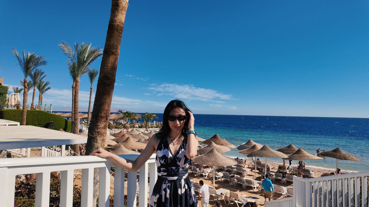 Olivia.S.Mitchell tweet media