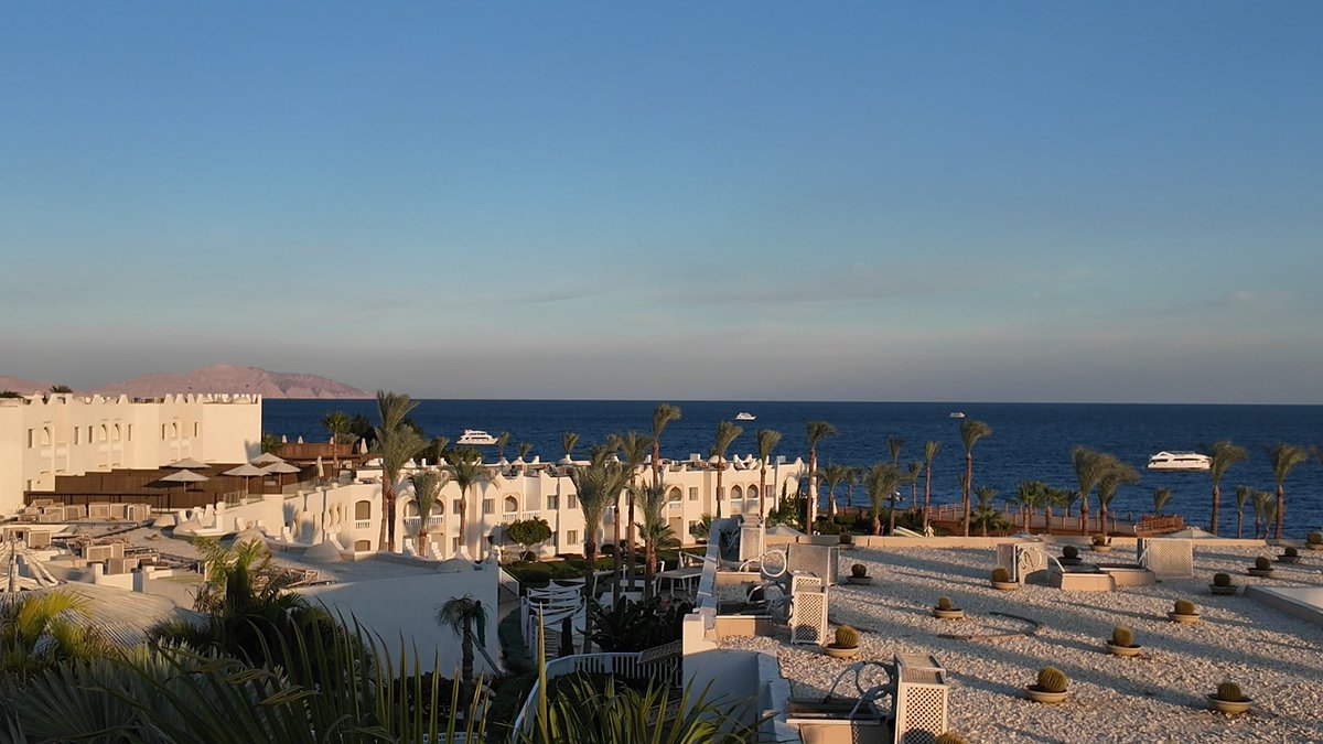 Olivia.S.Mitchell tweet media