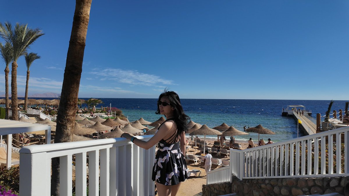 Olivia.S.Mitchell tweet media