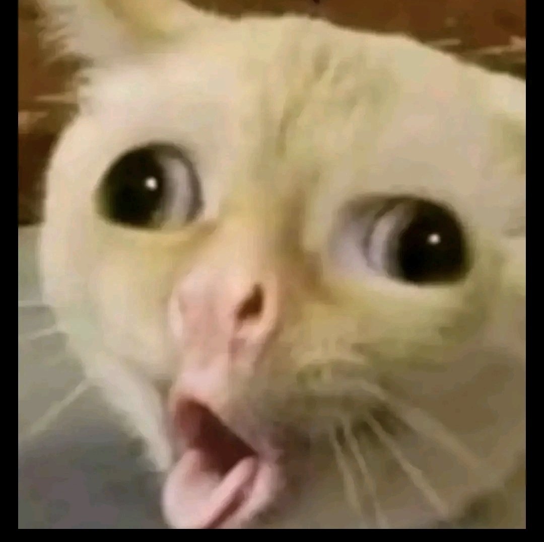 DJ 2ZERO tweet media