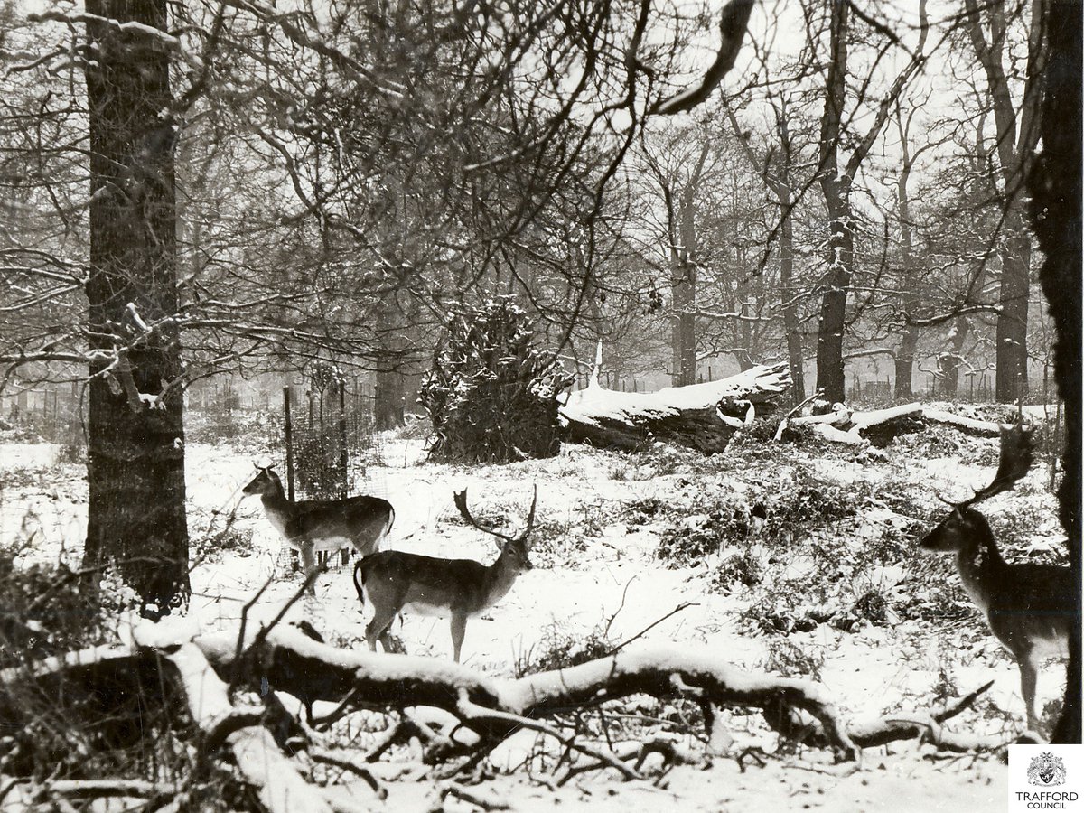 Trafford Archives tweet media