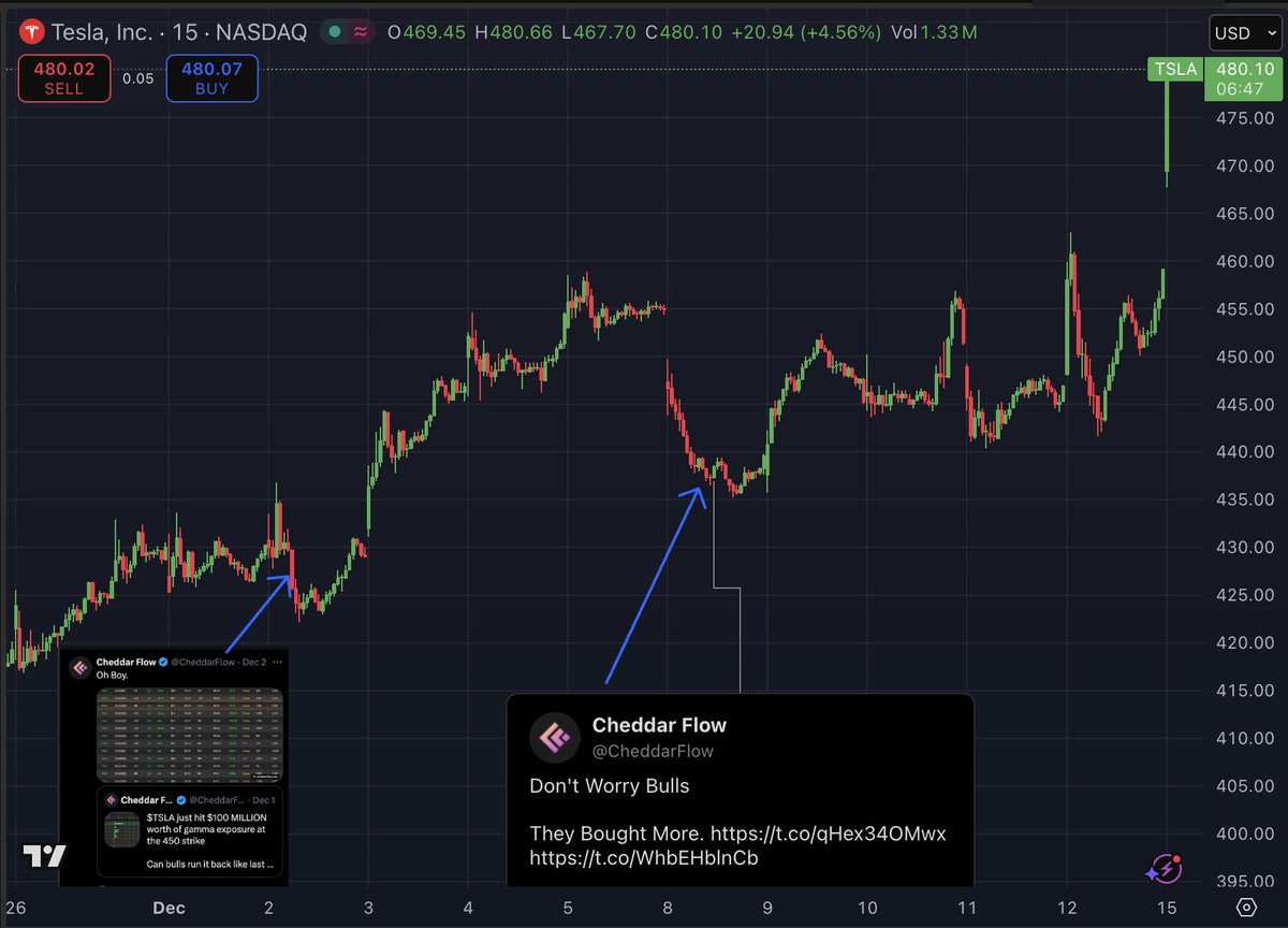 CheddarFlow's tweet photo. TRADE OF THE MONTH 🚨

$TSLA whales are now up MILLIONS after nonstop call-buying for 3 weeks straight (2x, 3x, even 4x on some calls)

They bought every dip hand-over-fist and we posted every unusual order here on X.

Take a bow Tesla bulls. https://t.co/SNC6H7odFu