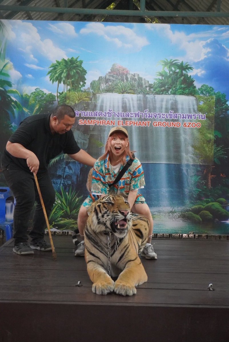 🤍💛💜𝕙𝕚𝕣𝕒𝕘𝕒𝕟𝕒💜💛🤍 (@hg_5656) / Posts / X