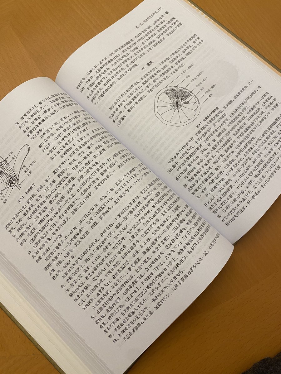 みかん☆さま確認ページ♡ ミカンページ ミカン みかんページ ミカン様 ミカン様 蜜柑様 レビュー