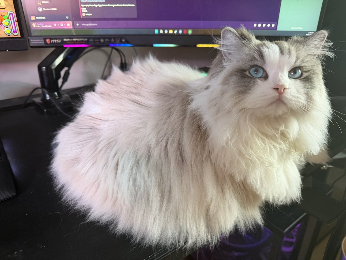 UPDATE: the orb has enveloped my mouse and it has zero regrets