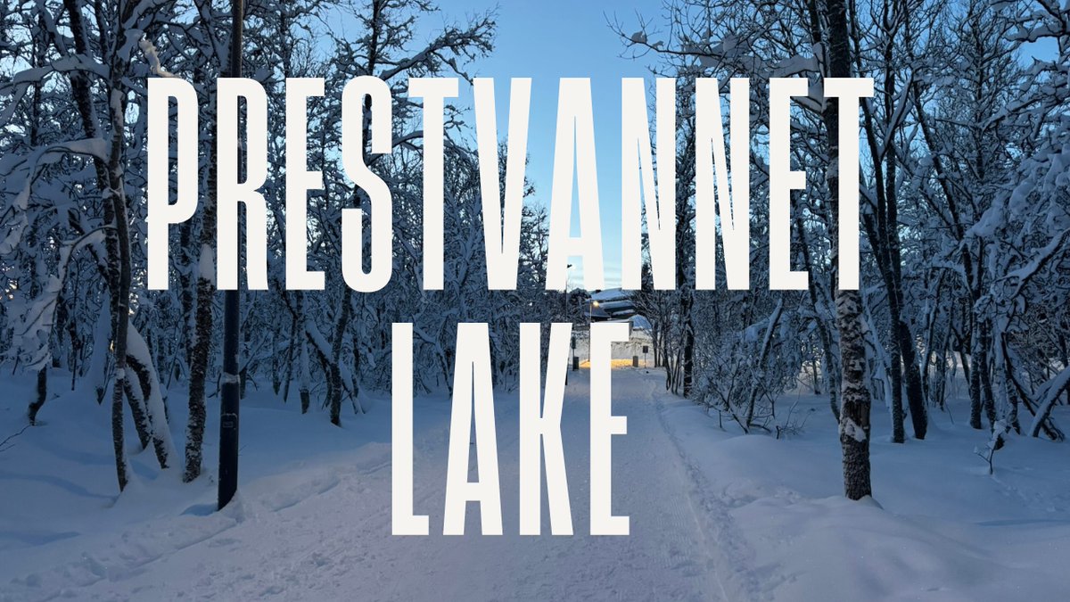 Tam & Lauren tweet media