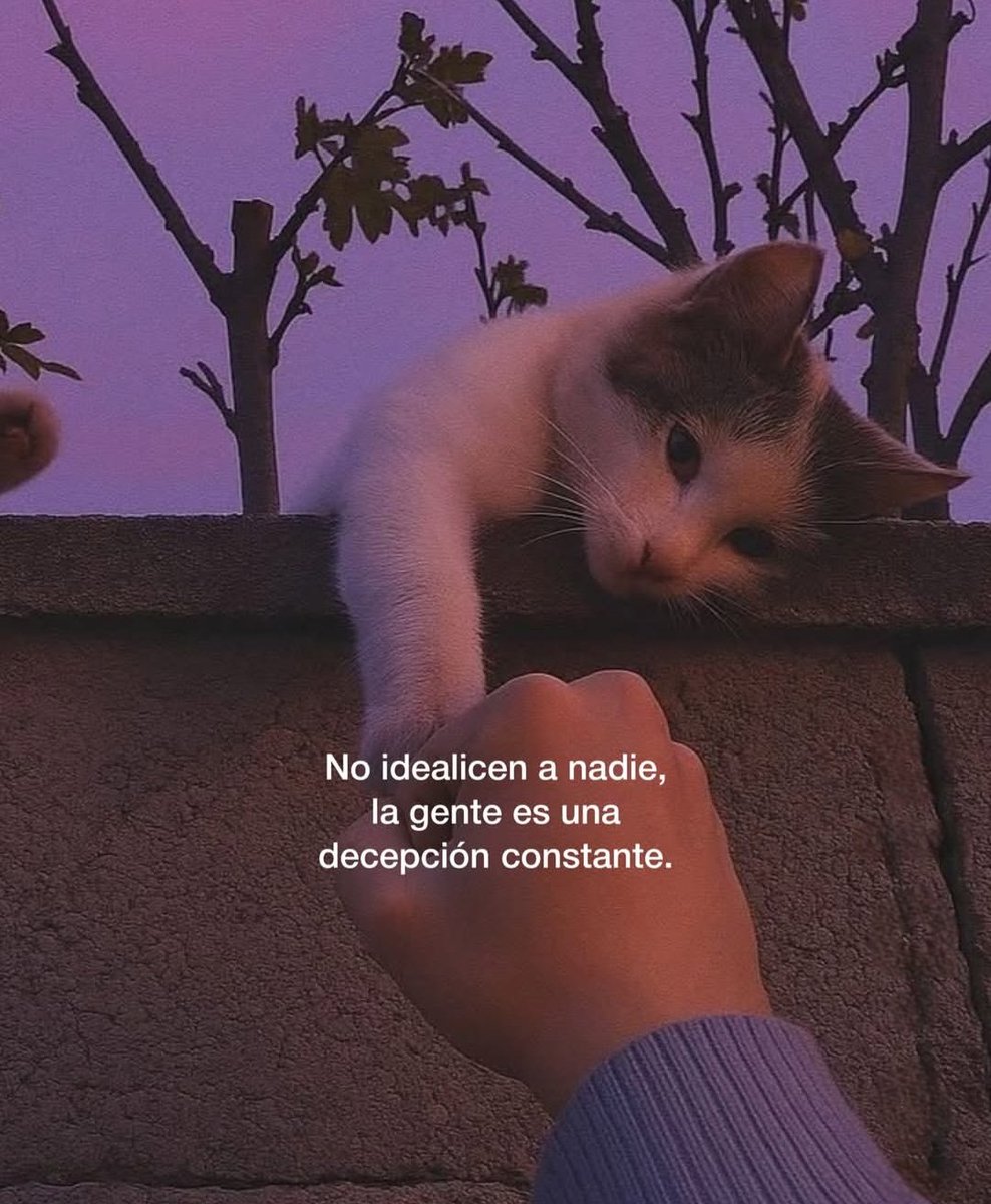 Berilyn_02's tweet image. 