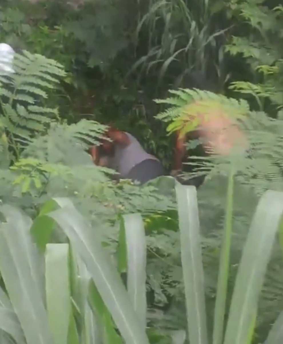 BAÚ DO RIO OFC tweet media