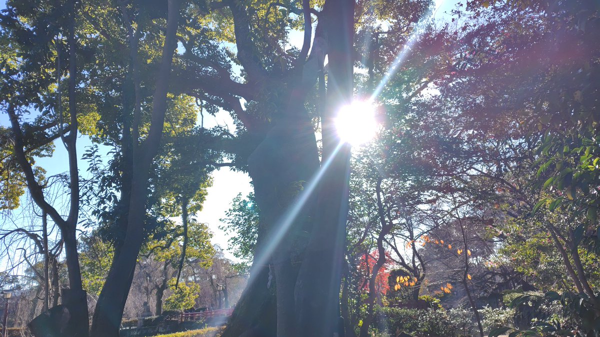 【今日の一枚】