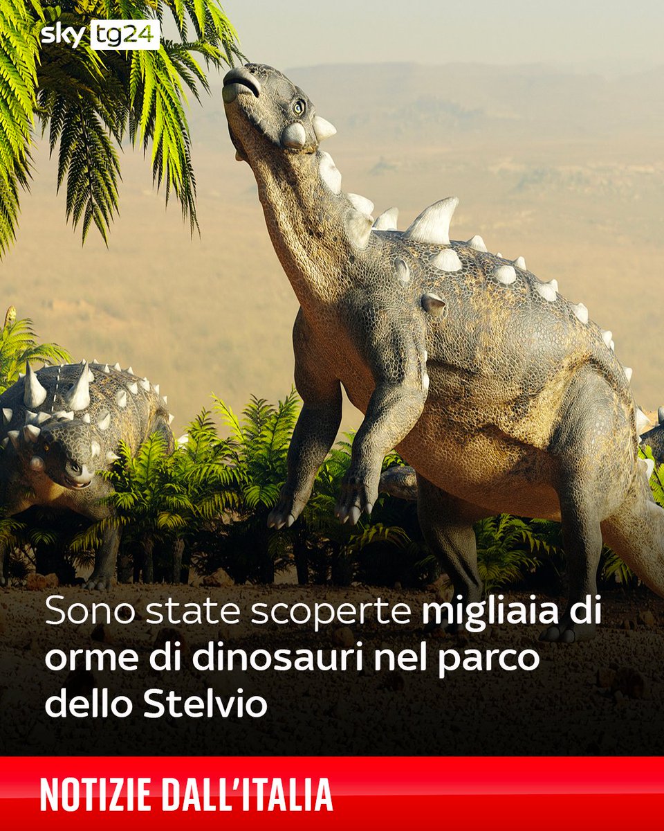 Lo annunciano Regione Lombardia e il paleontologo Cristiano Dal Sasso del Museo di Storia Naturale di Milano. "È una vera e propria 'valle dei dinosauri' che si estende per chilometri: è il sito più grande delle Alpi e uno dei più ricchi al mondo", afferma l'esperto ➡️
