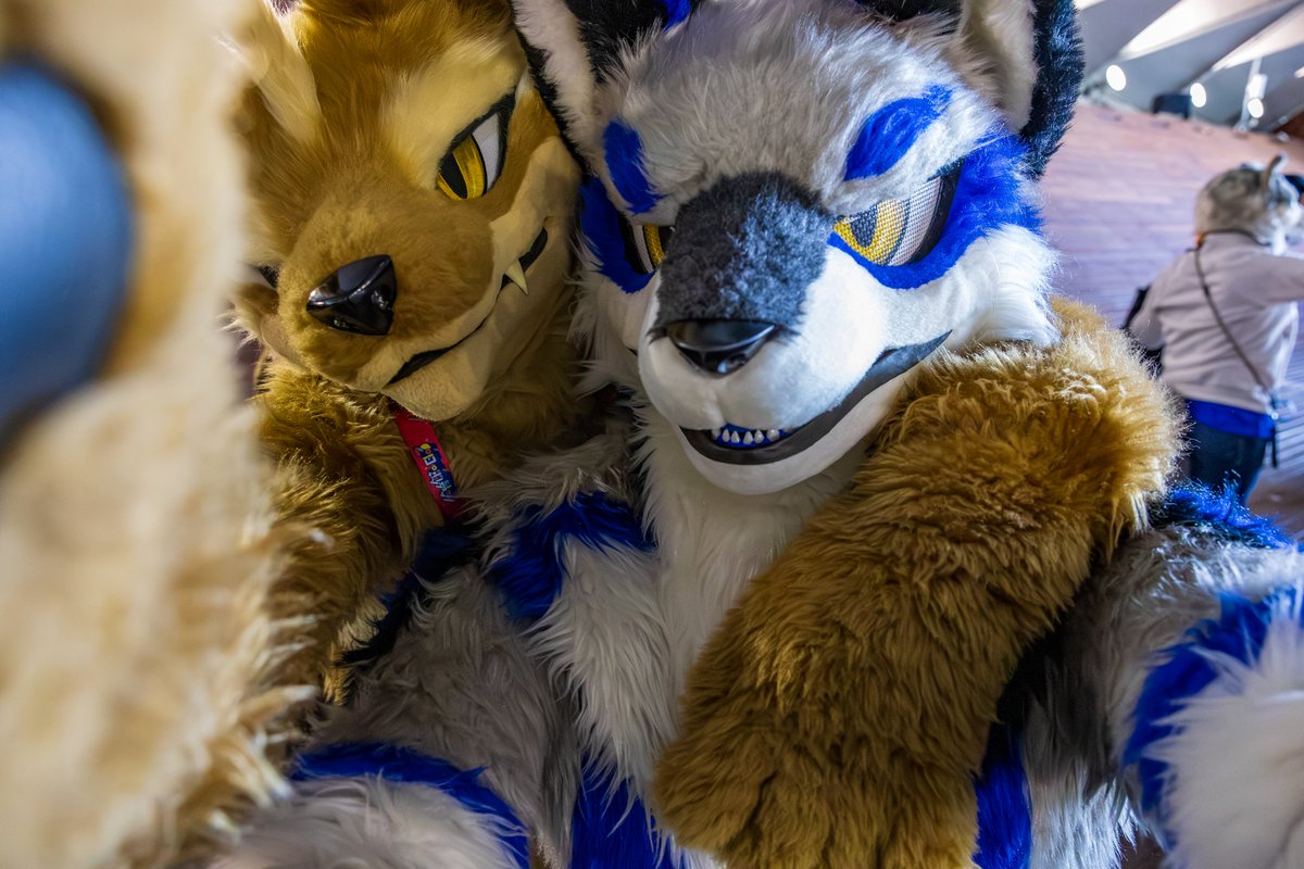 推しに捕まる
#犬工房 #体育館の日３
#FursuitEveryday