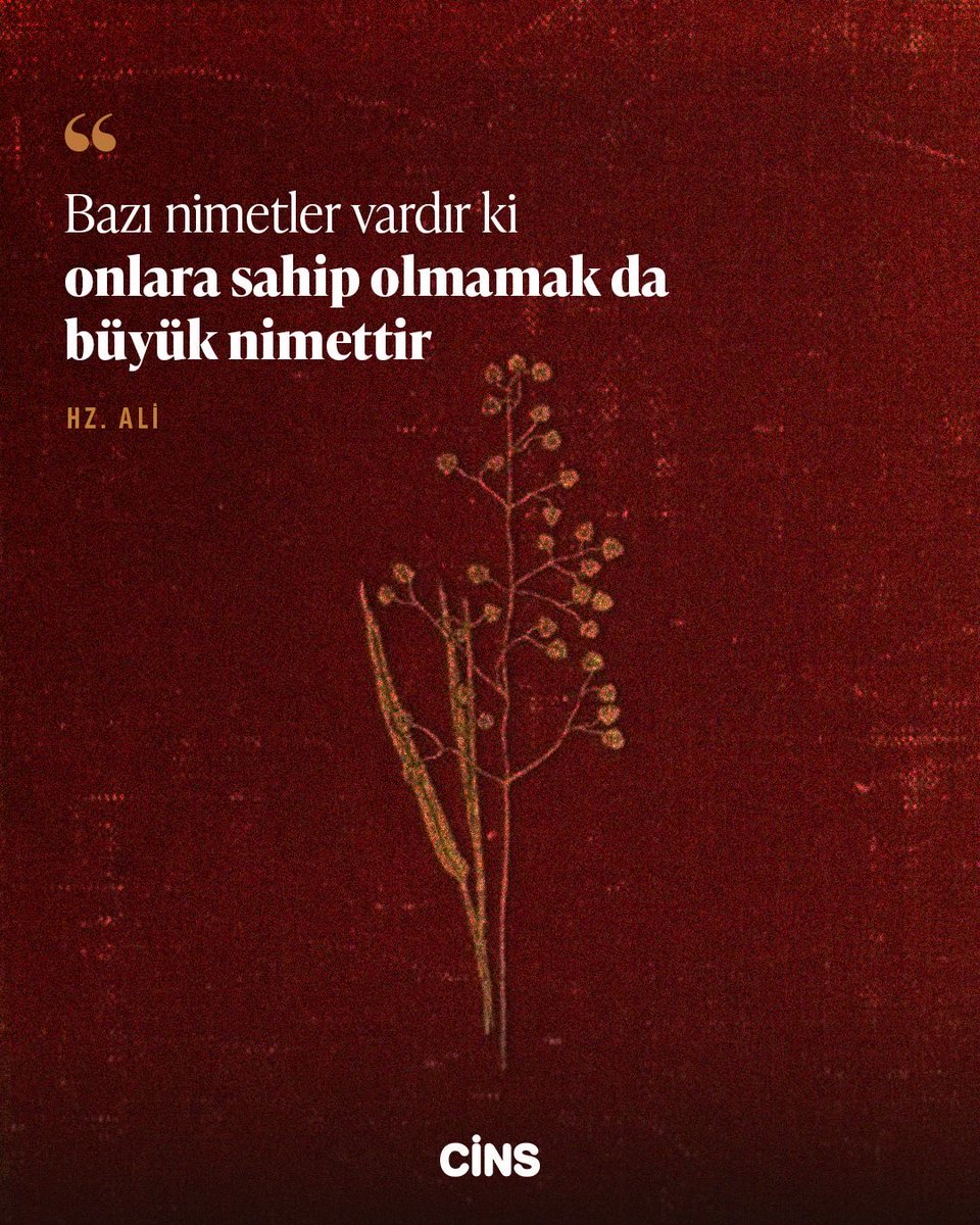 İnsan bazen bir nimeti elde edemediği için üzülür; oysa her erişemeyiş bir eksiklik değildir. Hz. Ali’nin işaret ettiği gibi, bazı kapıların kapalı kalması da bir rahmettir.