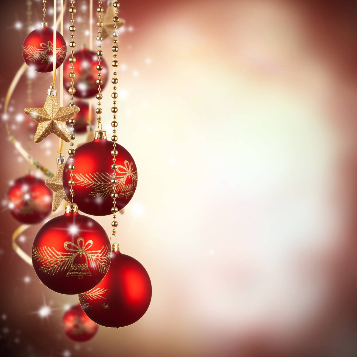 Christmas opening times:-

Wednesday 24th December 2025 8am – 12pm

closed between Thursday 25th December up to Sunday 4th January 2026 
Monday 5th January 2026 8am – 4pm