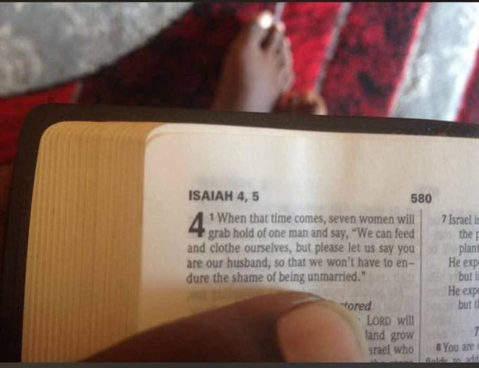 Earth pulse tweet media