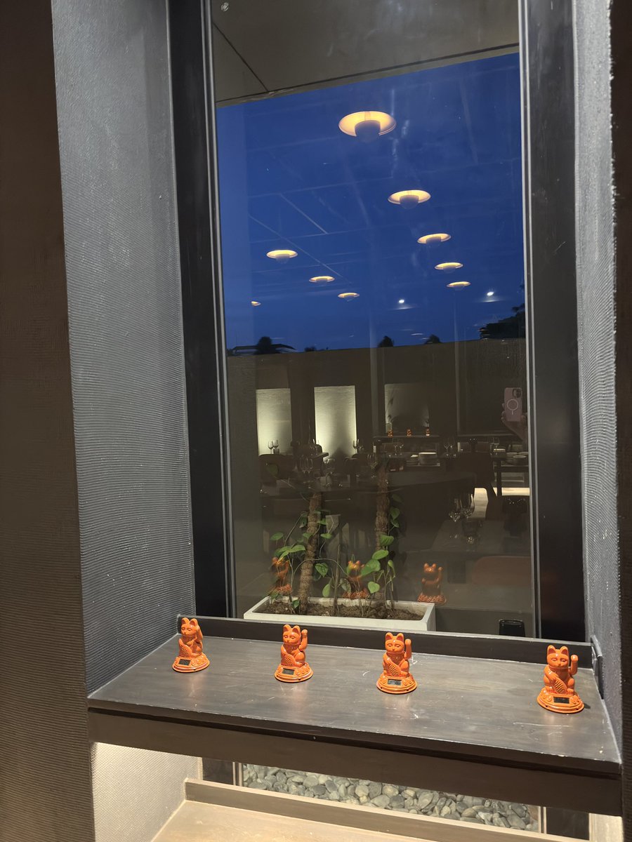 GoBeafeb's tweet image. #FunnyLion #PuertoPrincesa #Palawan