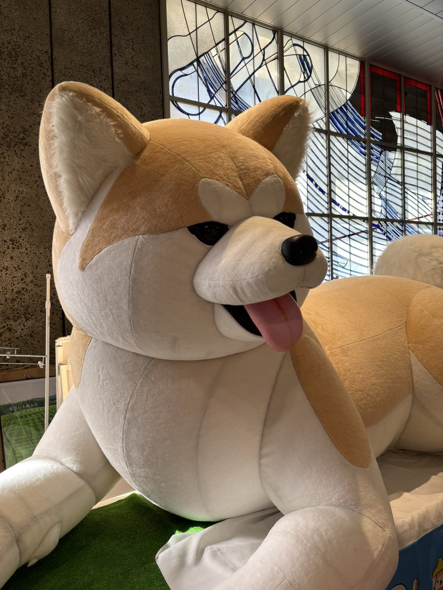 nosuke311's tweet image. 今日の釣果
大宮駅でちょろっと秋田を嗜みました。