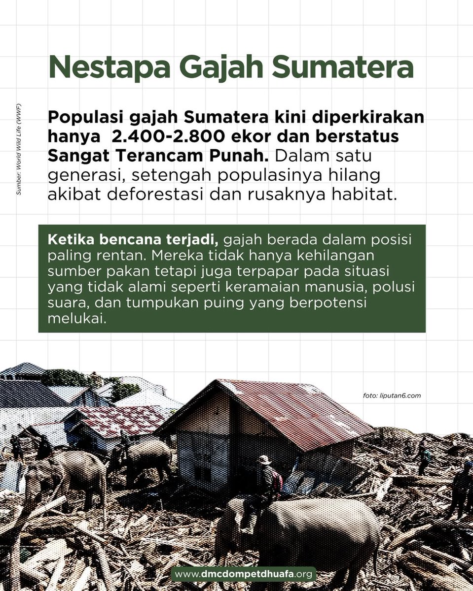 Dompet Dhuafa tweet media