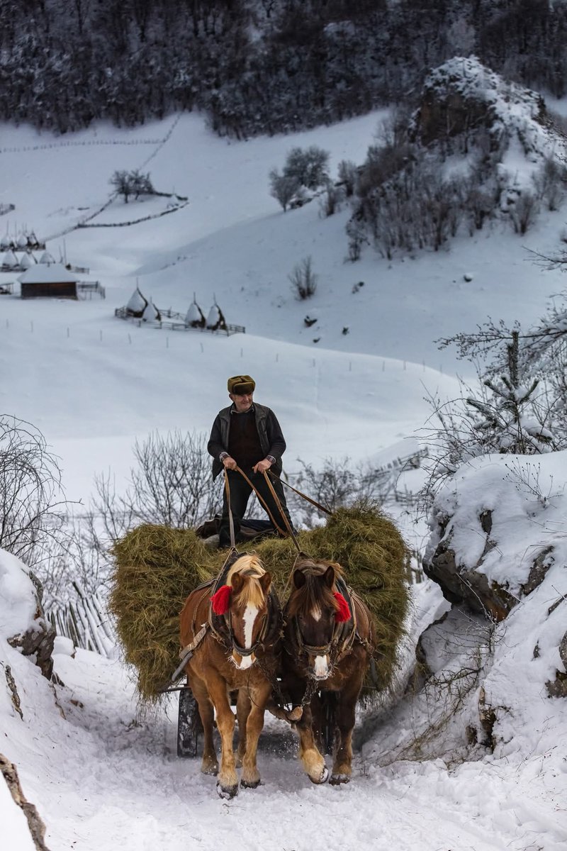 xyzwtf_55's tweet photo. When winters were winters..
#photography
#photographer
#avrig 🇷🇴
#memories https://t.co/rcjepz8Hao