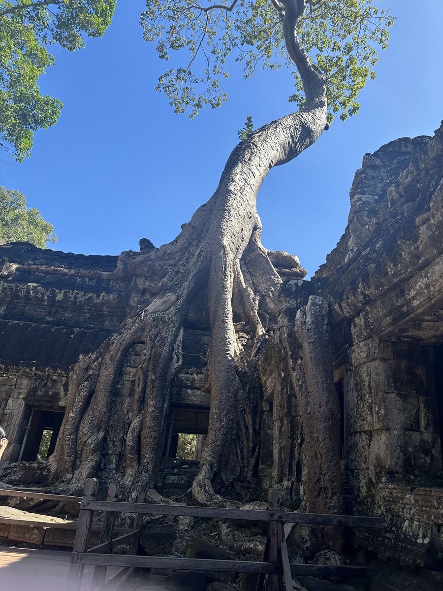 BarbaricHam tweet media