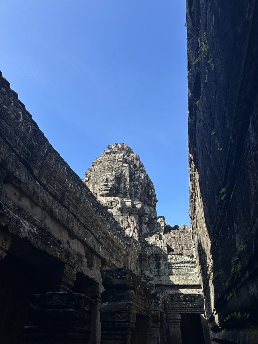 BarbaricHam tweet media