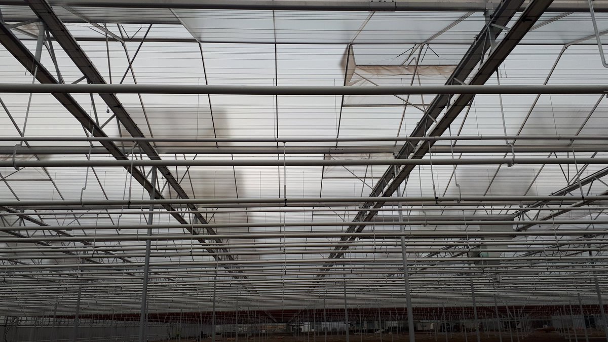 Het insectengaas schoon houden wordt nog een flinke uitdaging las ik pas in de <a href="/bloemisterij/">Bloemisterij</a>. Wij beginnen er al mee voordat de teelt start 🤔 #bouwstof