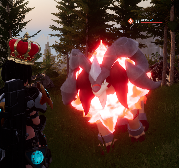 Chat, where do you go when you need advice on how to keep your feet warm ?