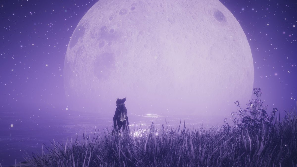 corrupted tweet media