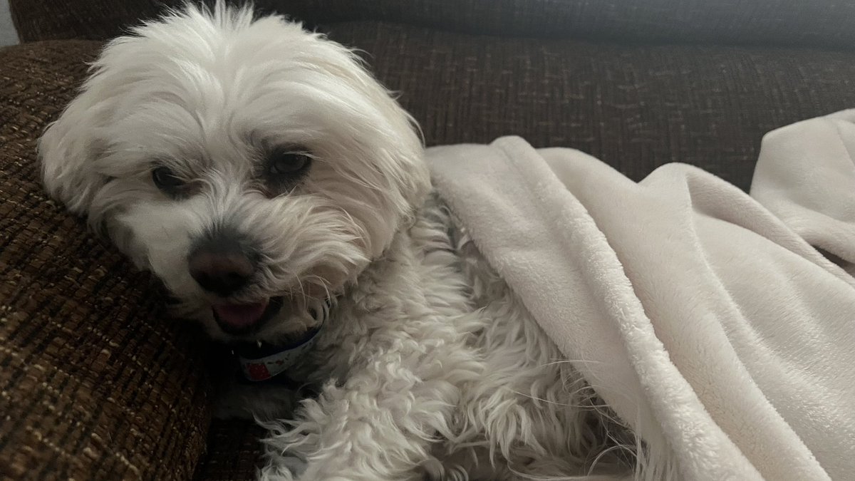 lorem ipsum 📸 tweet media