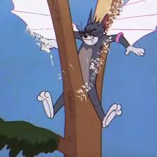 皇天上人 tweet media