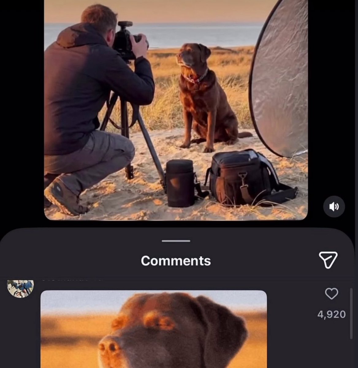 ExtremeBlitz__'s tweet image. oh my god