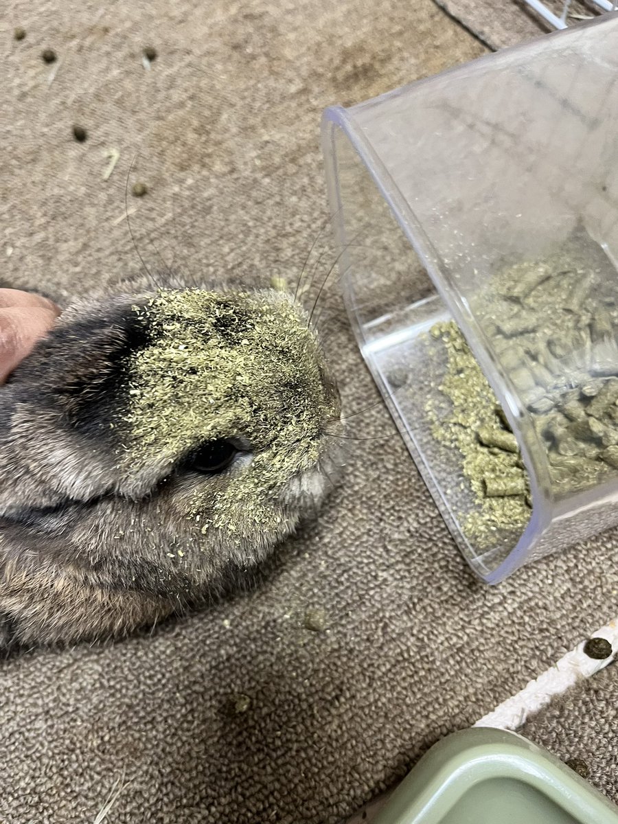 springsnow_0116's tweet image. ㅇ