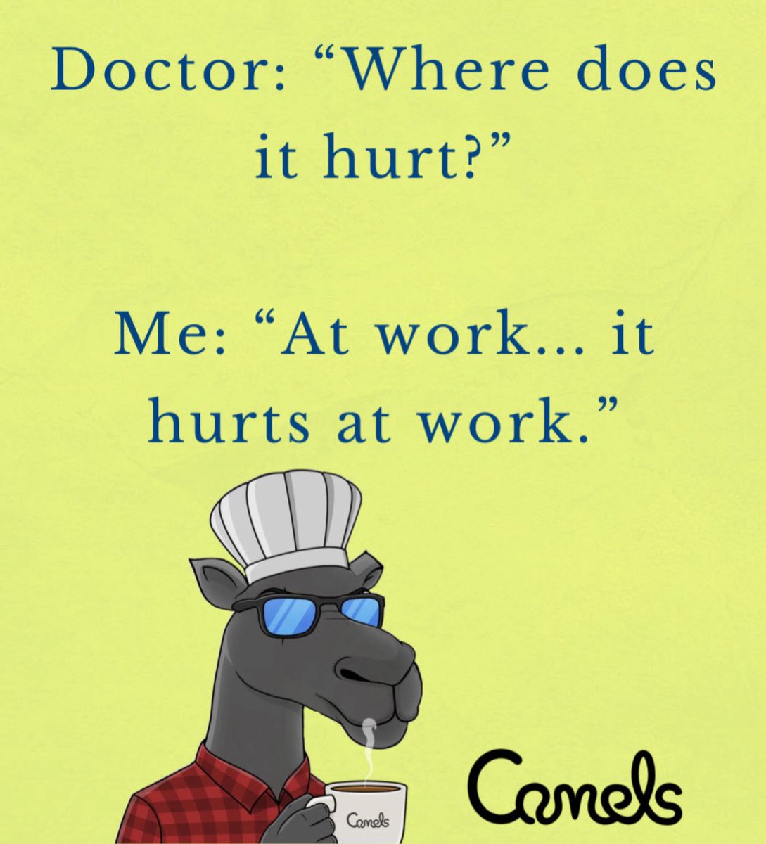Gooood Morning my Mfers
☕️☕️☕️☕️☕️☕️☕️☕️☕️☕️☕️
Who’s got that Monday feeling?
Busy christmas party season is here… but it’s almost over 🥵👨‍🍳
#CamelsFam