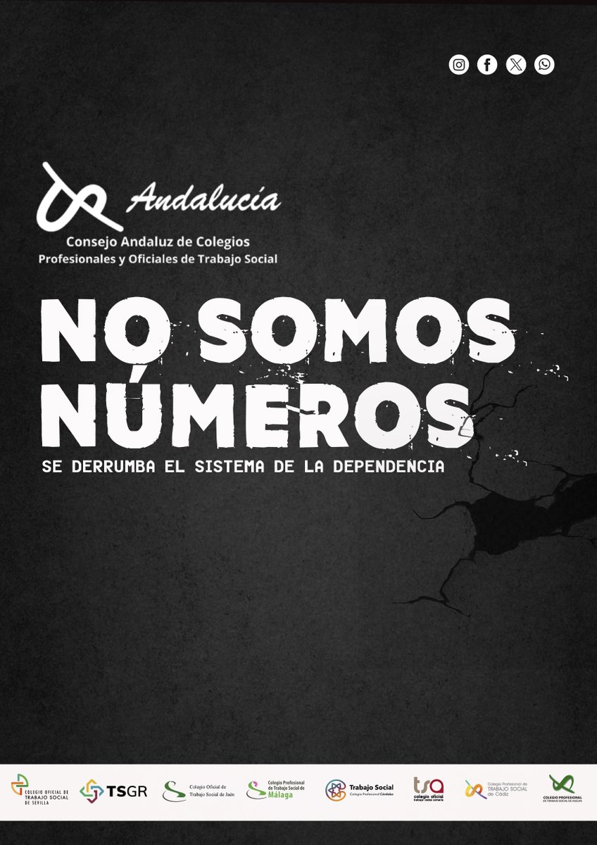ConsejoAndaluzTS tweet media