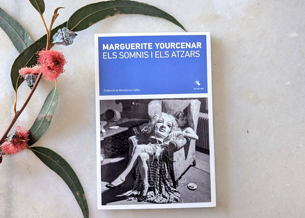 LaBreuEdicions's tweet image. Dilluns 15 #adventlabreu
"El que jo anomeno somiadors de veritat segreguen la seva pròpia droga"
ELS SOMNIS I ELS ATZARS de Marguerite Yourcenar

traducció Montserrat Gallart

#elssomnisielsatzars #Yourcenar
#narrativeslabreu #lectura
#labreuedicions