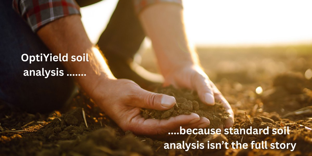 Emerald Research tweet media