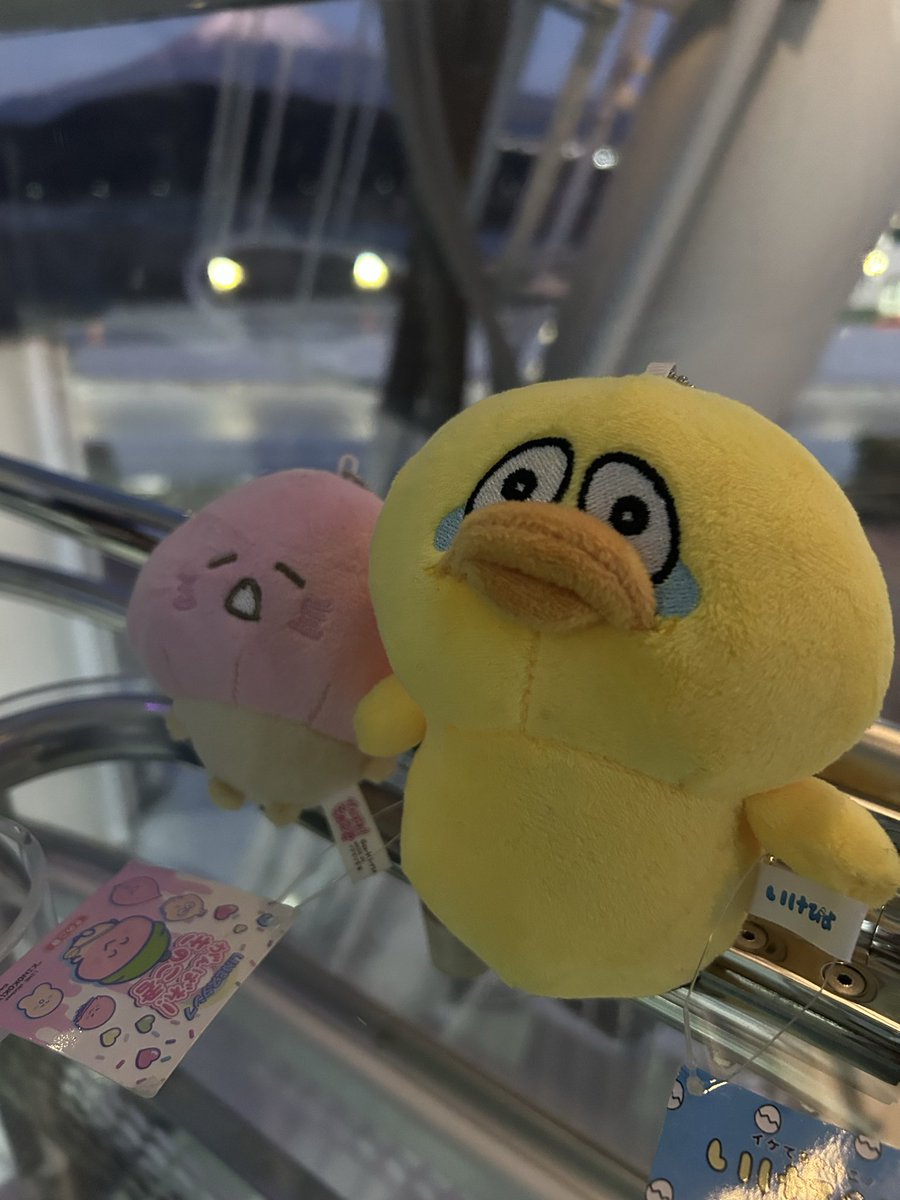 ぴよ山ぴよ太 (@piyo_hiyokoman) / Posts / X