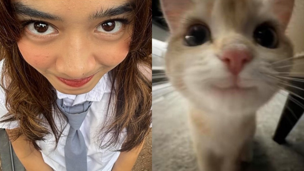 162clevenn's tweet photo. meow https://t.co/5z2pEx83Xu