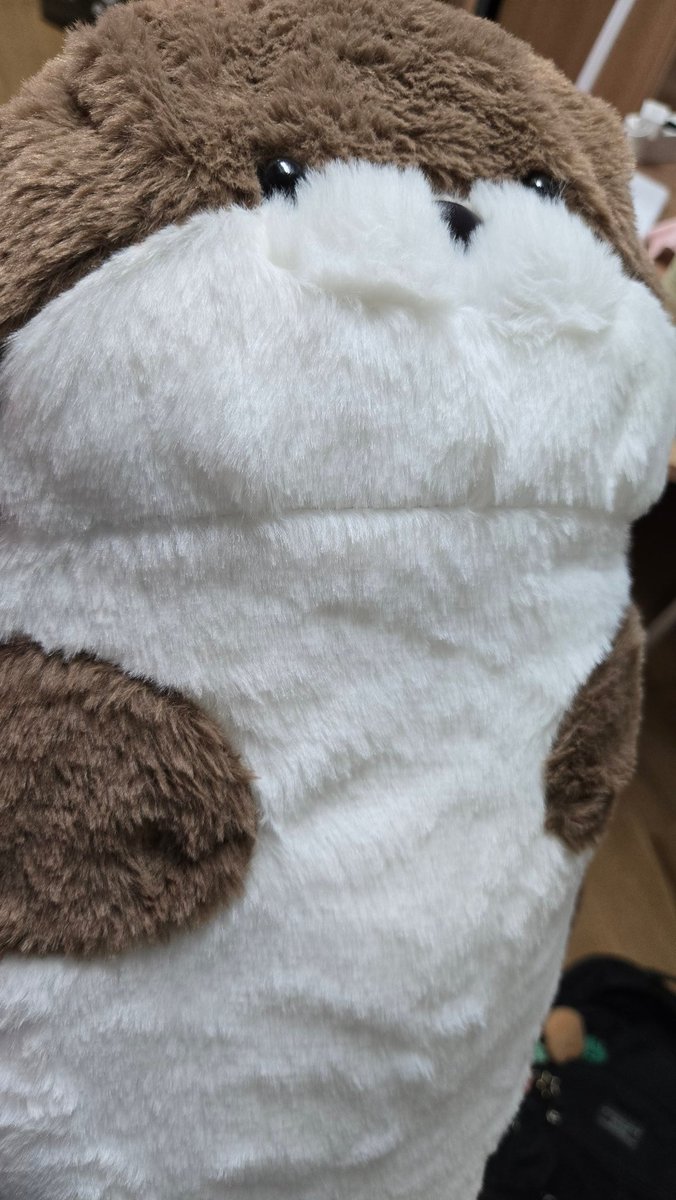 룸메: 어딘가의 요원일것 같다
나: 근데 이거 해달일걸?
룸메: 수달이 아니라요?
나: 상품명을 볼게
나: 물범이래
룸메: 수달도 해달도 아니네