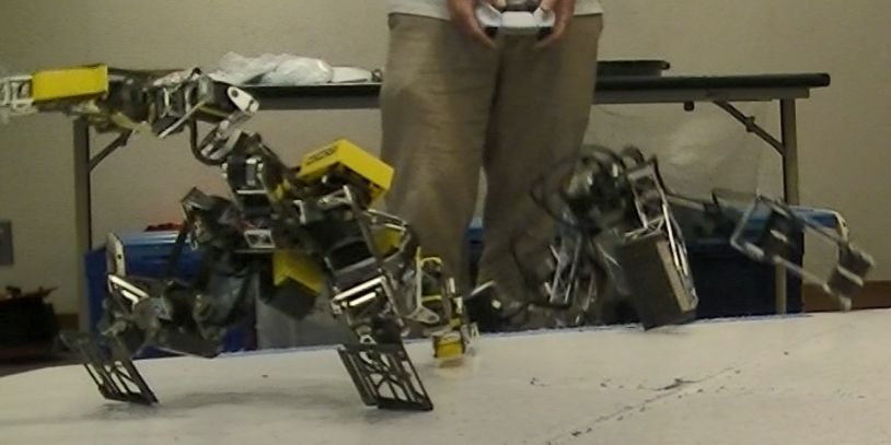 レグホーン tweet media