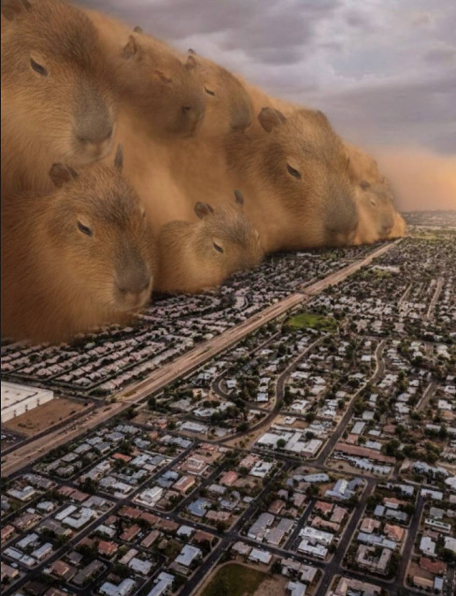 Fan Page | Ging Gong Kaew (กิง ก่อง แก้ว) tweet media