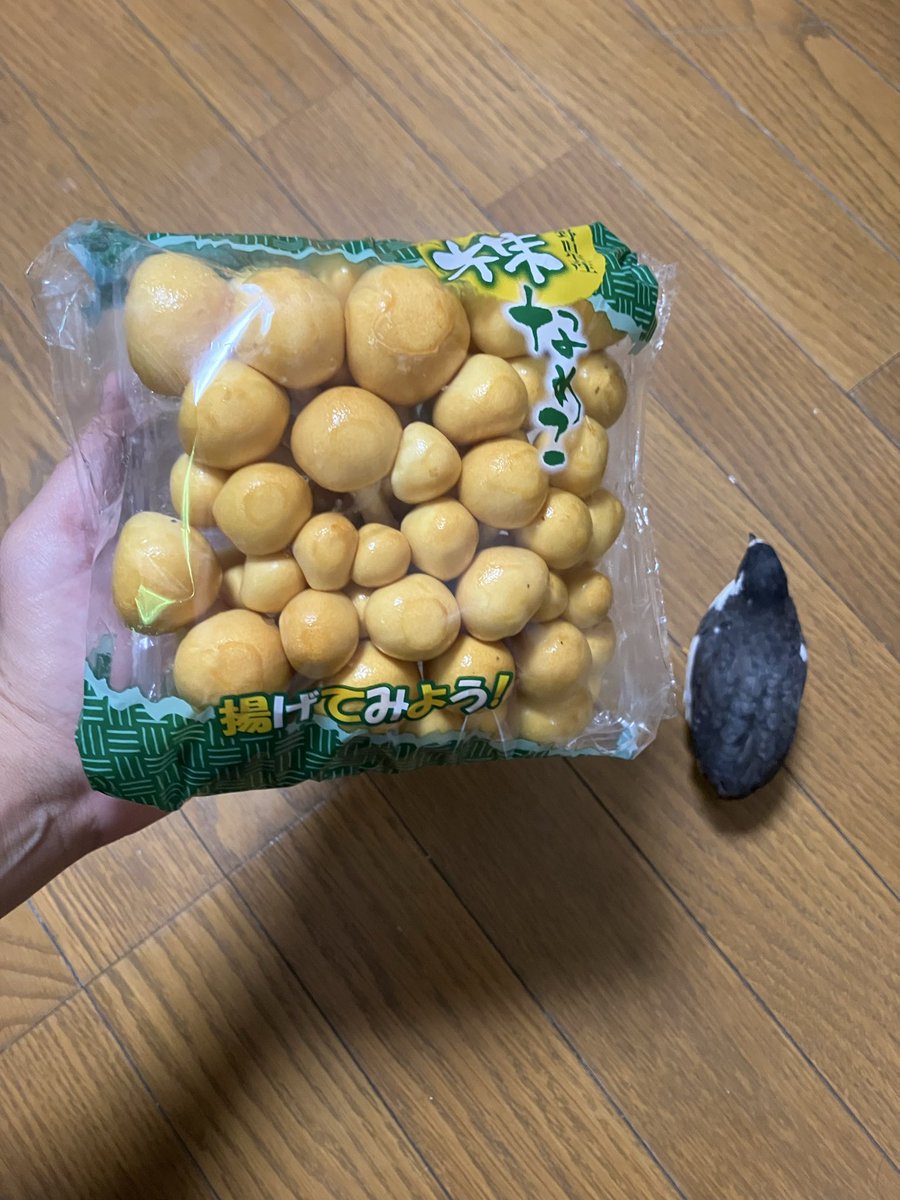 ポポチョロ🐦💨 (@1b4fc39ec9e04d3) / Posts / X