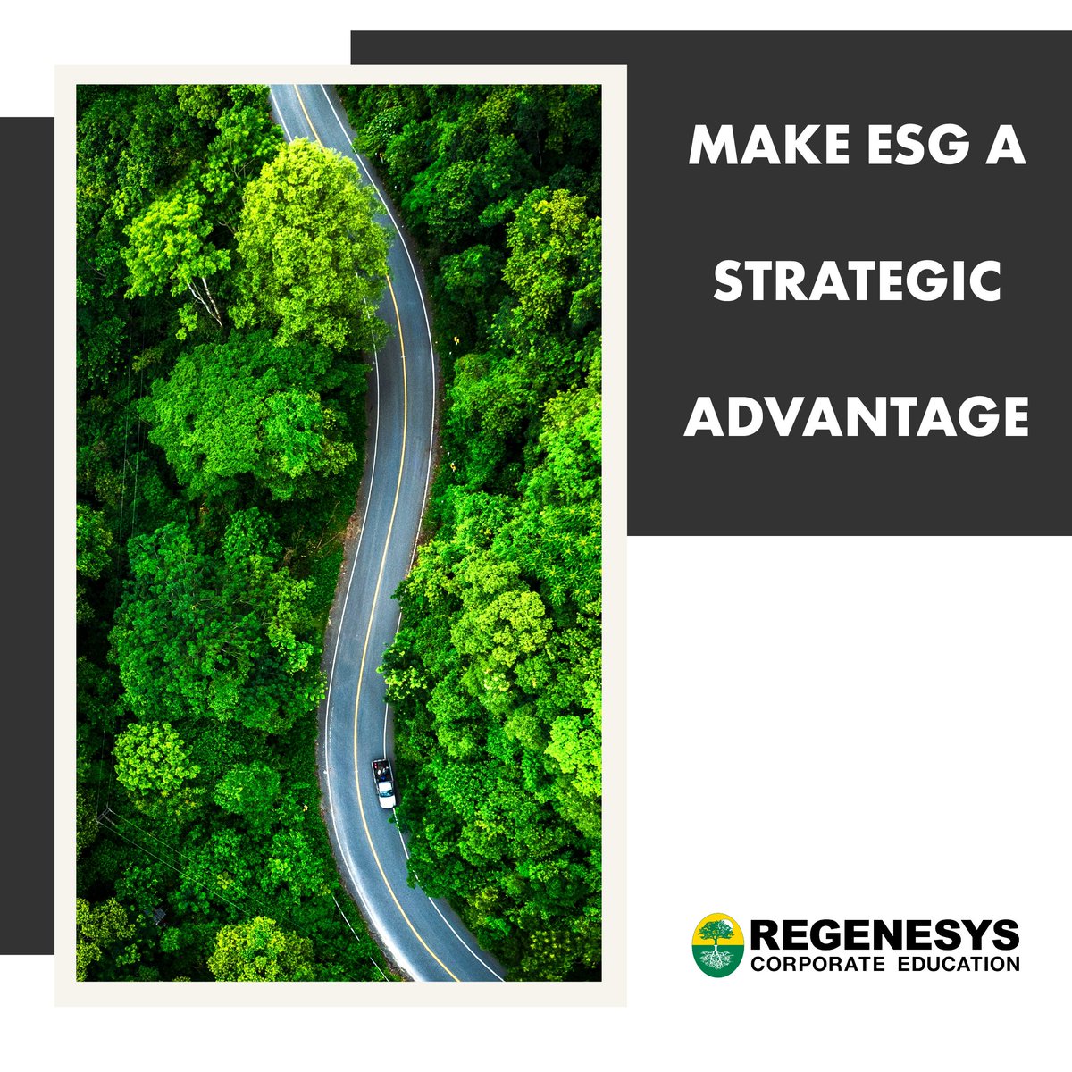 Regenesys Corporate Education tweet media